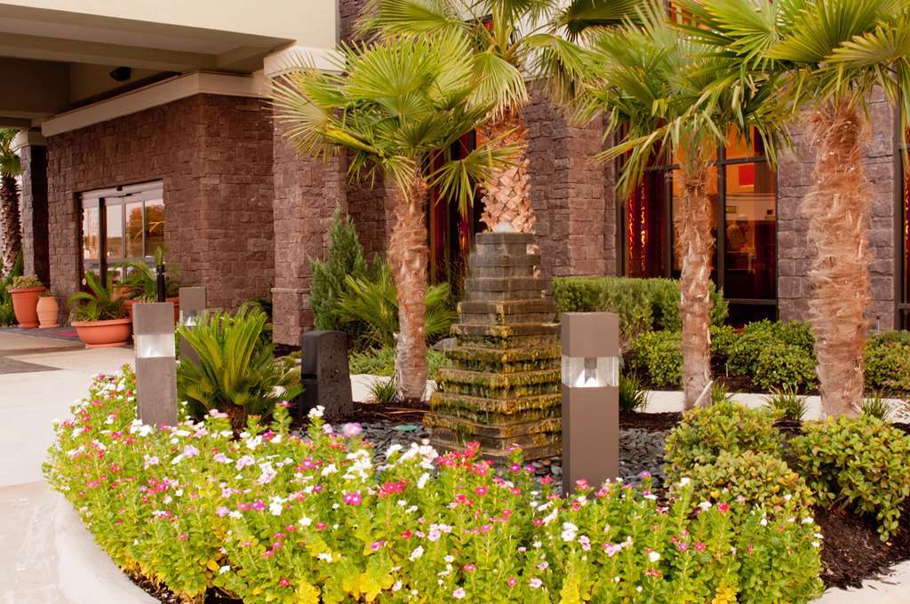 Hampton Inn & Suites Shreveport Exteriör bild
